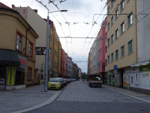 Během revitalizací ulic se zeleň do některých již nevešla, přednost dostala dlažba, která je zvlášť v létě velmi horká...