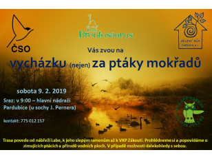 Akce ke Světovému dni mokřadů tuto sobotu 9.2.2019 od 9 hodin v Pardubicích
