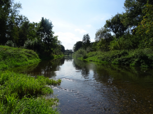 Červeňák zůstane zelený, shodlo se Město Pardubice i Iniciativa Červnák