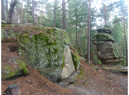 Petici za zachování PR Maštale, podepsaly tisíce občanů