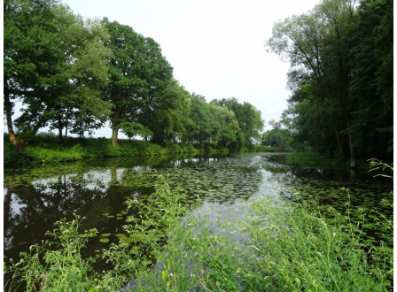 Naše vyjádření ke splavnění Labe do Pardubic: „Jsou to vyhozené peníze. ŘVC nejsou schopni doložit jediného dodavatele, který by tuto vodní cestu využíval, Jan Linhart