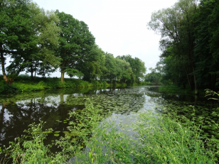 Vyjádření Zelené pro Pardubicko k ŘVC a splavnění Labe „Jsou to vyhozené peníze. Nejsou schopni doložit jediného dodavatele, který by tuto vodní cestu využíval, Jan Linhart.