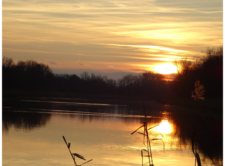 Děkujeme Arnice, že se tématu věnuje: Kontaminace u Labe v Pardubicích se za 18 let nesnížila, naopak u některých látek vzrostla až stonásobně