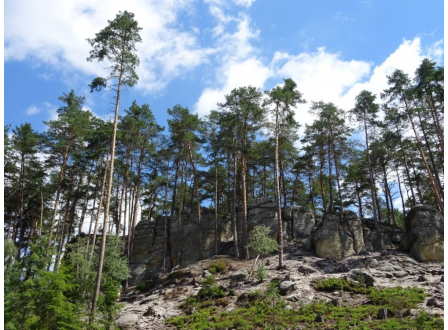 MŽP nevidí jinou cestu, než současné návrhy Pardubického kraje na změnu ochrany PR Maštale stáhnout a vše přehodnotit a přepracovat