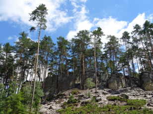 MŽP nevidí jinou cestu, než současné návrhy Pardubického kraje na změnu ochrany PR Maštale stáhnout a vše přehodnotit a přepracovat