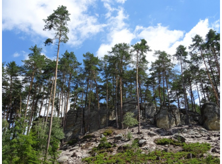 Přírodní rezervace Maštale