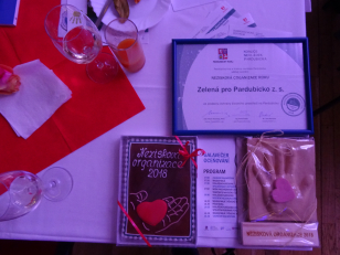Zelená pro Pardubicko získala na Galavečeru ocenění Nezisková organizace 2018