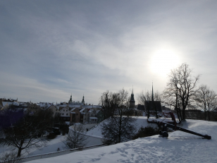  Pardubice letos vysadí v městských lesích na 14.000 stromů, např. se to týká Studánky, Svítkova, atp.