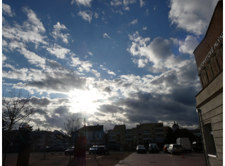 Pardubice letos vysadí v městských lesích rekordních 14.000 stromů