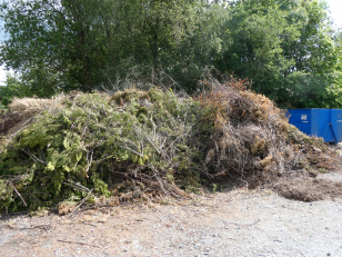Už 5000 domácností se v Pardubicích zapojilo do projektu odděleného sběru biologicky rozložitelného komunálního odpadu
