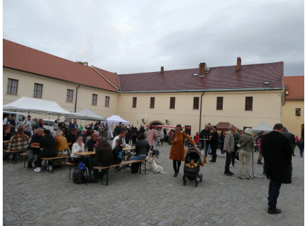 Hospodářské budovy na zámku v Pardubicích budou hostit od r. 2027 novou výstavu o přírodě