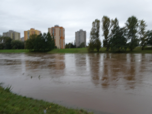 Kvůli stavbě parkovišť v Pardubicích by se musely kácet stromy, lidé protestují