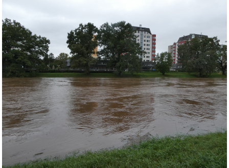 Kvůli stavbě parkovišť v Pardubicích by se musely kácet stromy, lidé protestují
