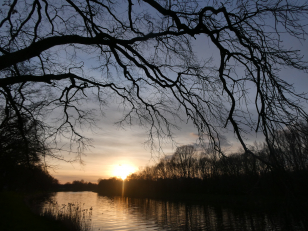 UMO 2 Pardubice plánují přírodní park s hřištěm a výběhem pro psy u Lonkovy ulice