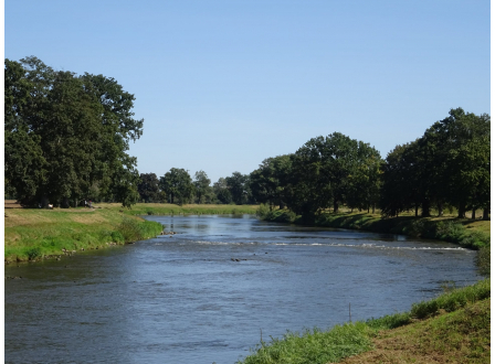 Na Pardubicku chybí voda v tocích. V Přelouči kriticky klesla hladina Labe, Kraj se chce zároveň více zaměřovat na zadržování vody přímo v krajině