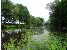 Děkujeme Arnice, že se tématu věnuje: Kontaminace u Labe v Pardubicích se za 18 let nesnížila, naopak u některých látek vzrostla až stonásobně